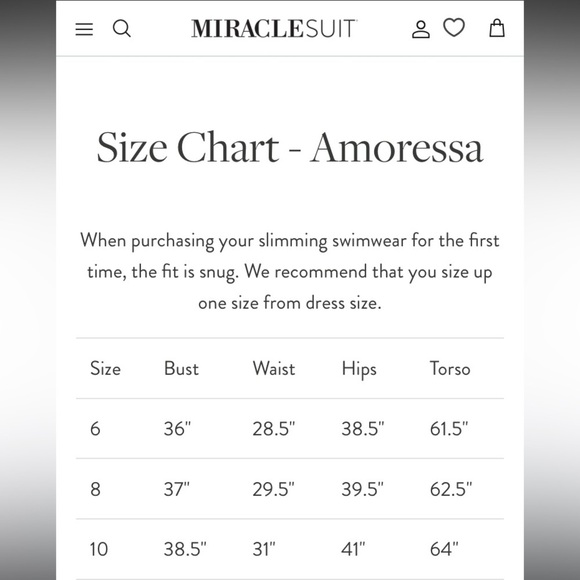 NWOT AMORESSA By MIRACLESUIT Blue Jasmine Rumba Swimsuit, Sz 6, Floral, Plunge​​ - Picture 3 of 16